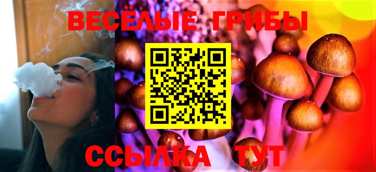 Псилоцибиновые грибы Magic Shrooms Люберцы
