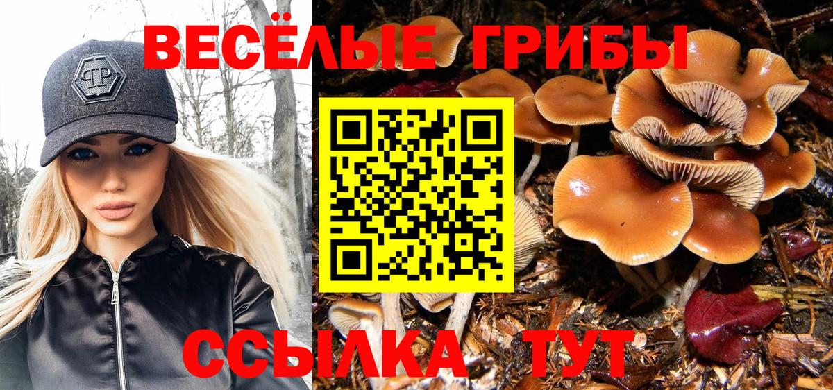 Галлюциногенные грибы Magic Shrooms  Вход с VPN  Люберцы 